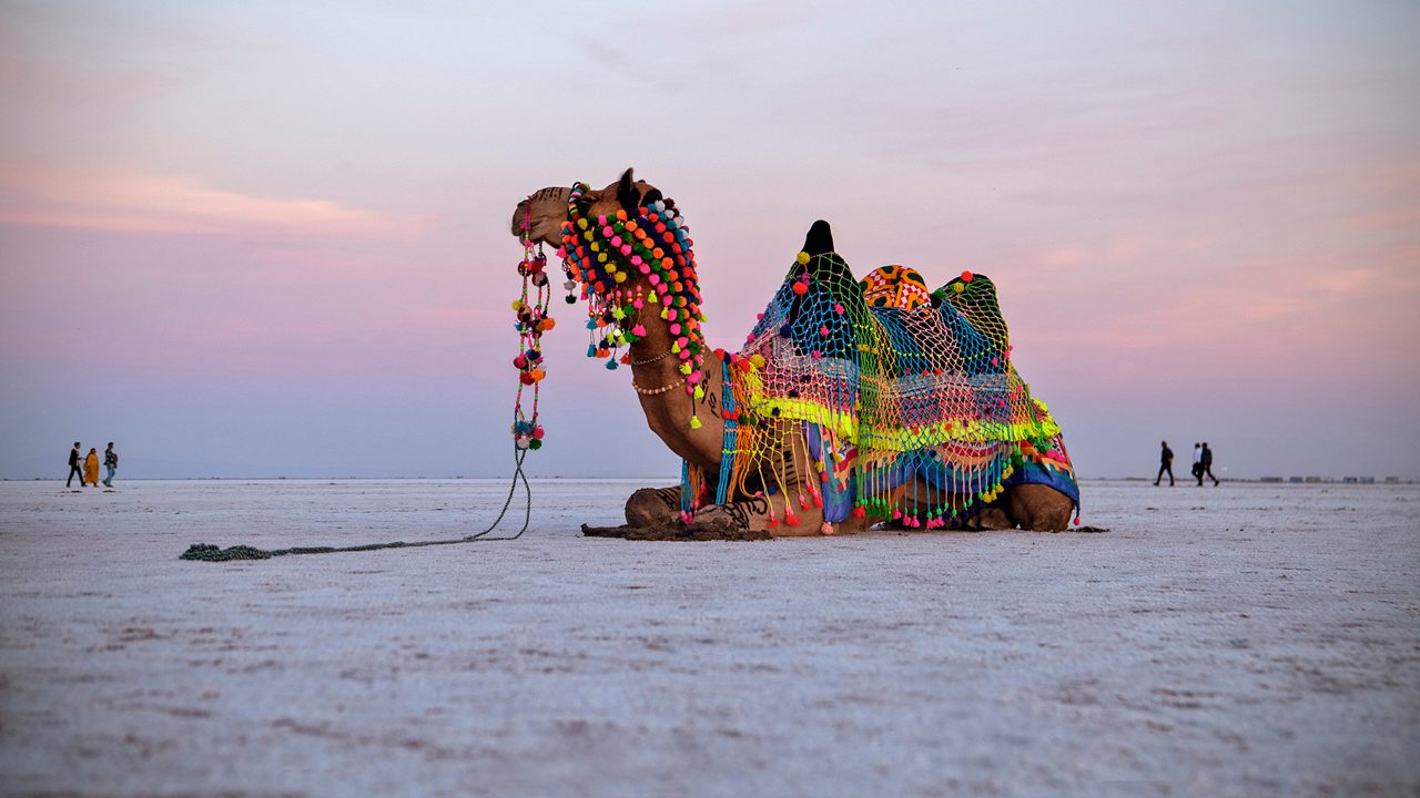 Endless white salt plains of Rann of Kutch
