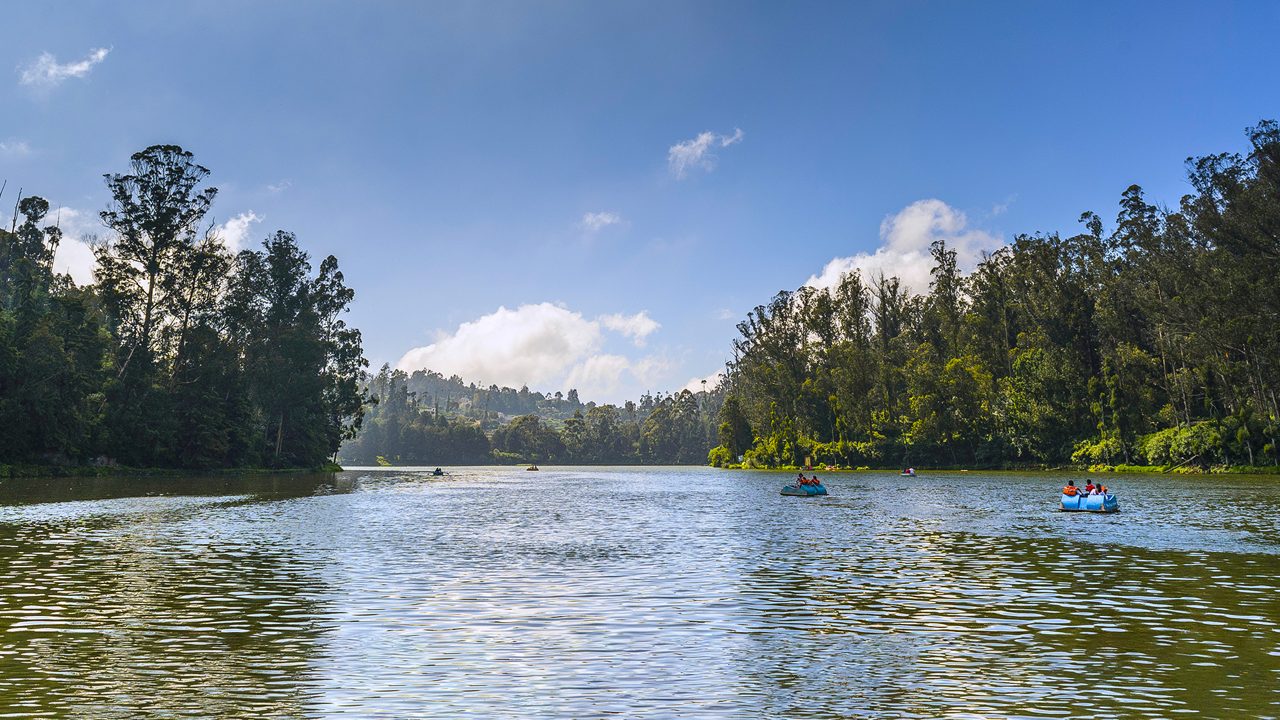 Tea plantations and scenic vistas of Coonoor