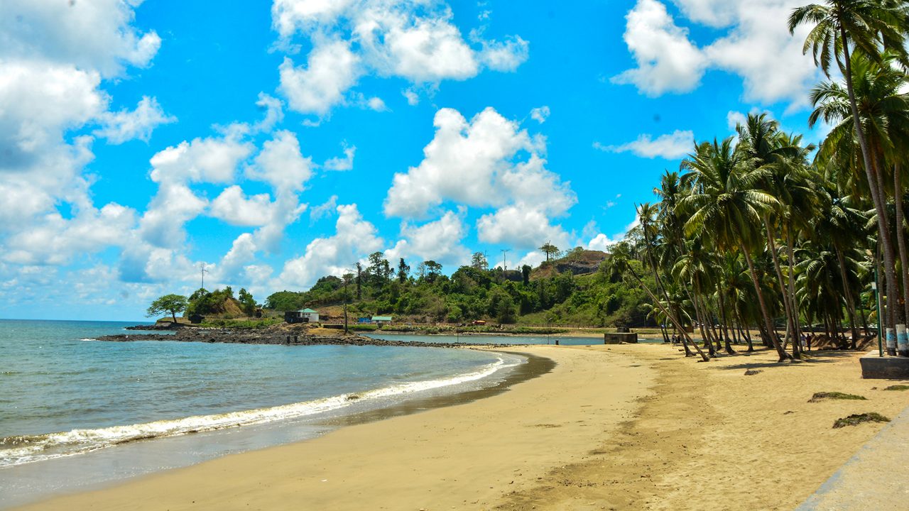 Corbyn's Cove Beach serene waters and palm trees