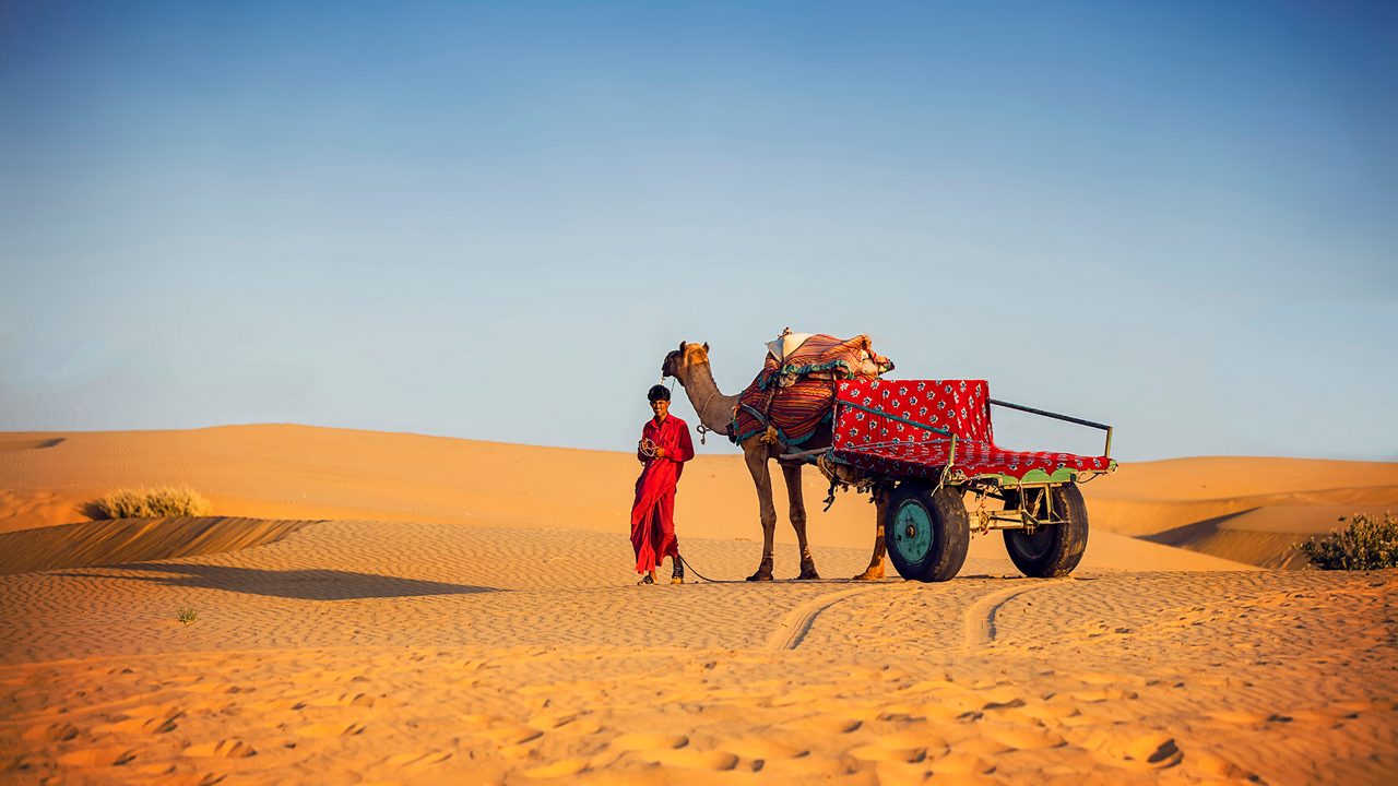 Sam Sand Dunes at sunset in Jaisalmer, Rajasthan