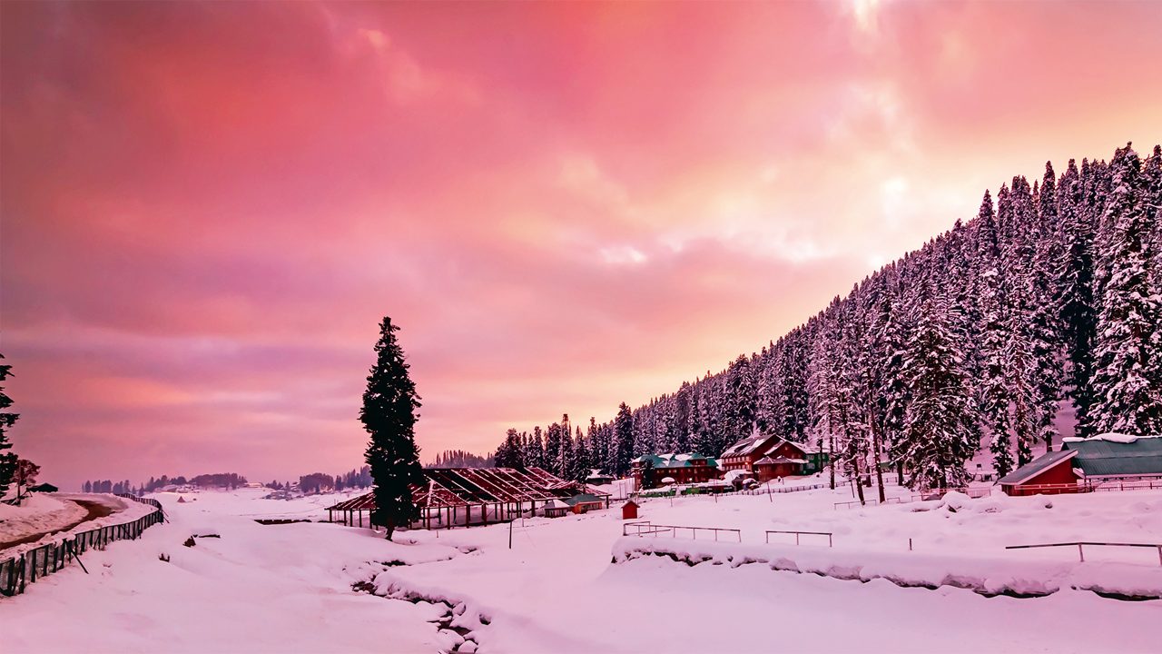 Alpine meadows of Gulmarg in Kashmir