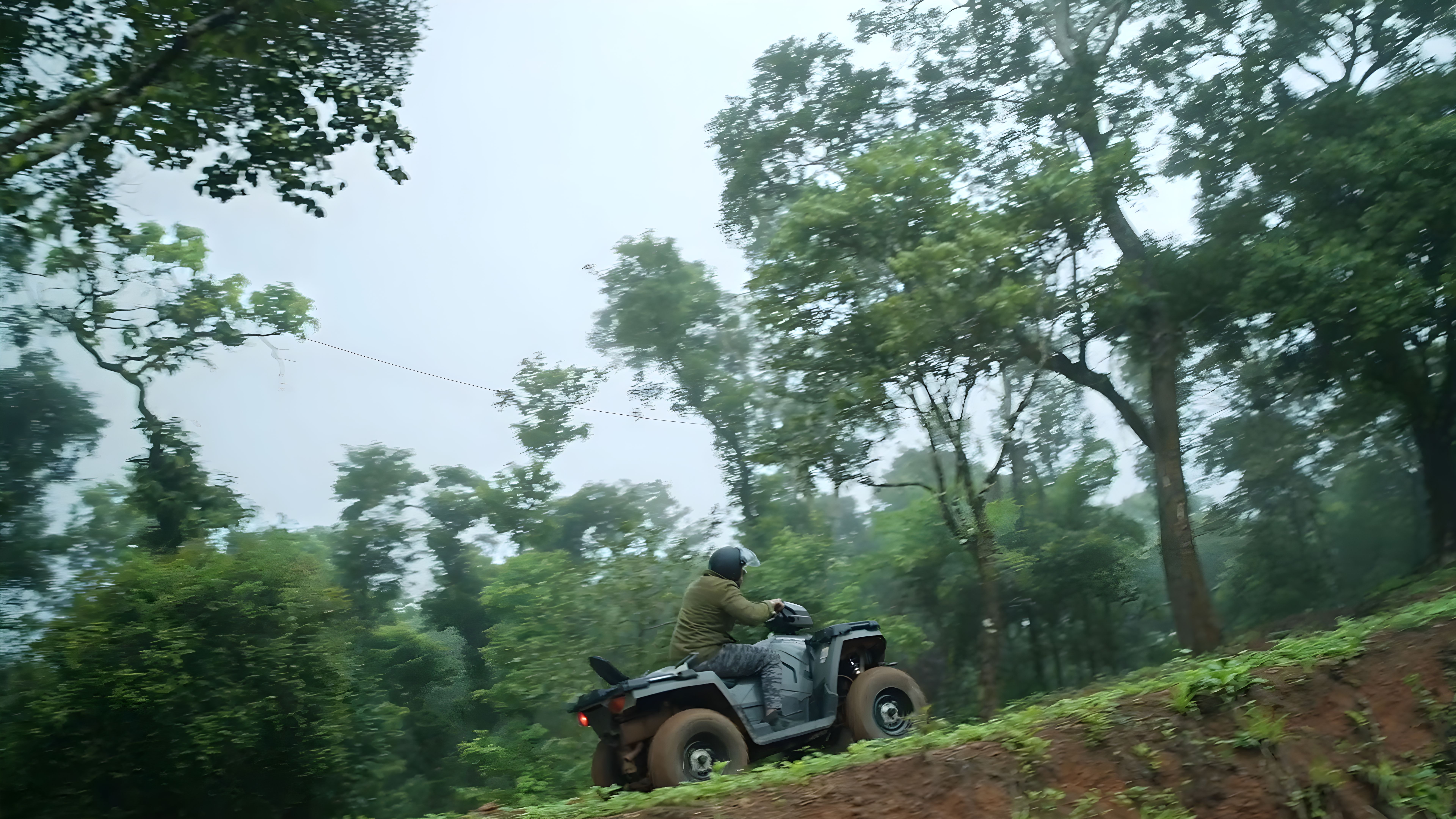 Misty green hills of Coorg wilderness