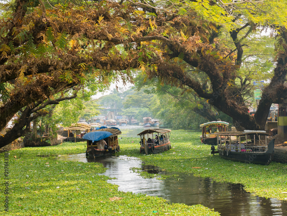 Traditional houseboat gliding through Kerala backwaters