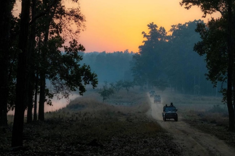 Tiger safari jeep in Bandhavgarh National Park